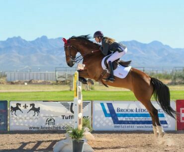The Importance of Wall Caddies to Your Horse Jump Poles