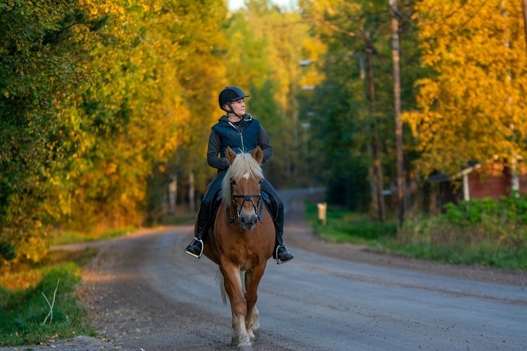Qualities of a Competitive Horseback Rider